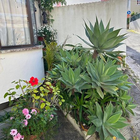 Bela Vista Apartamento Estoril Cascais Εξωτερικό φωτογραφία